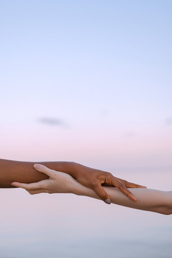 Photo of People's Hands